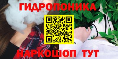 скорость Лесосибирск