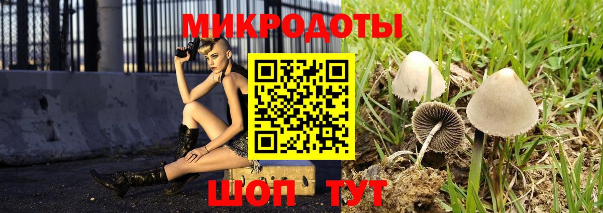 Галлюциногенные грибы GOLDEN TEACHER  Галлюциногенные грибы GOLDEN TEACHER  Вход с VPN  Владивосток 
